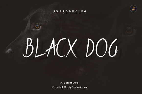 Blacx Dog: The Script Font That Elevates Brand Visuals