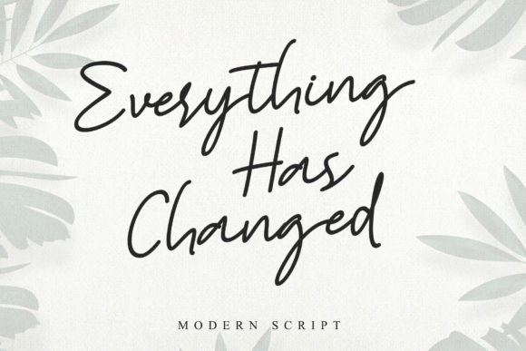 Everything Has Changed: A Designer's Honest Review