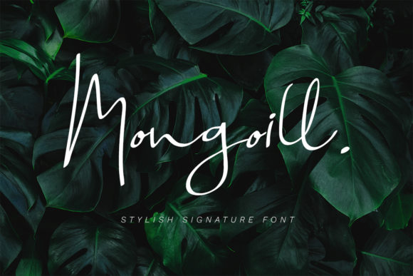 Mongoill: The Handwritten Typeface for Scroll-Stopping Social Graphics
