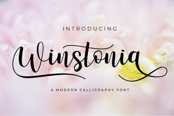 Winstonia: The Handwritten Typeface That Elevates Campaign Design